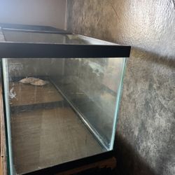 75 gal Fish tank 