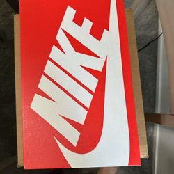 Size 8W 7M Nike Panda Dunks Low