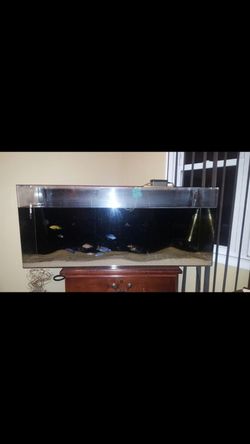 Acrylic 55 gallons