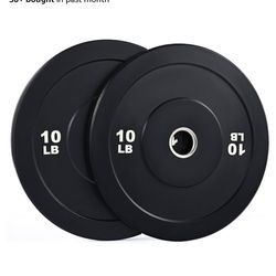 10 Lb WEIGHT PLATES SET IF 2 