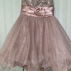 Pink graduation/prom/cocktail strapless sequin Women dress (size 7)