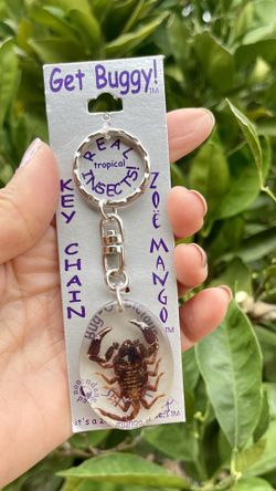 Scorpion Key Chain 