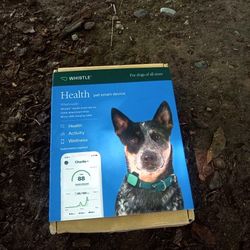 Whistle Pet Health Device 