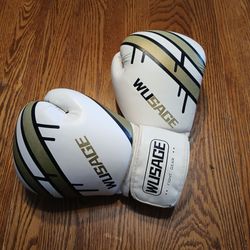 10oz Boxing Gloves