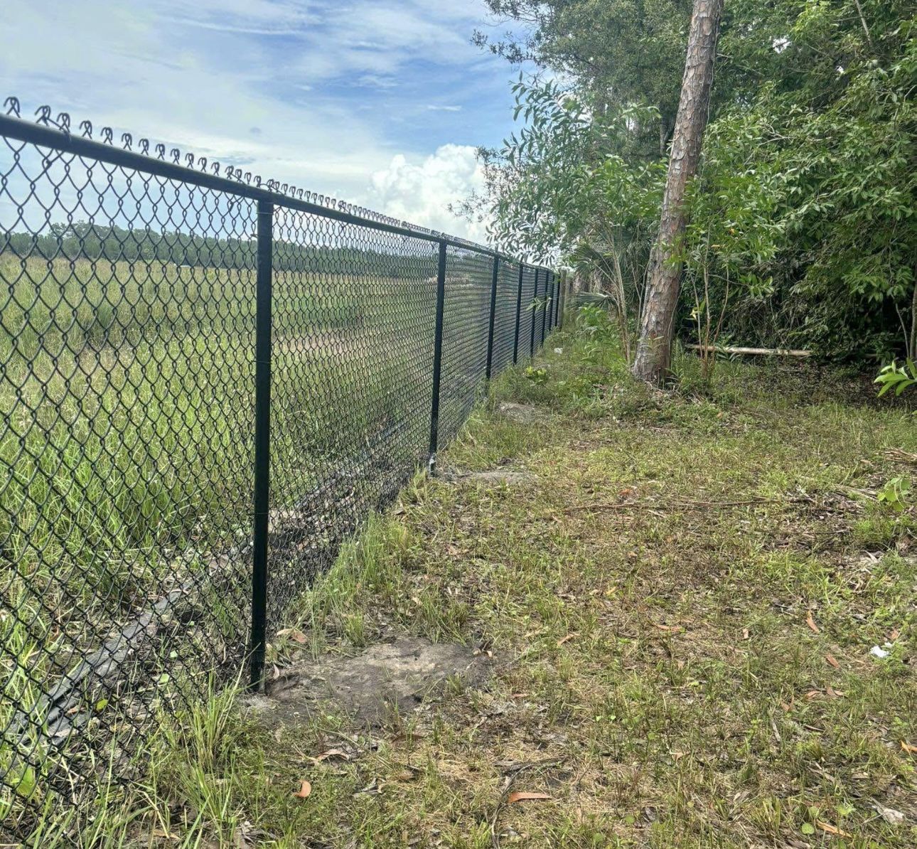 Fence
