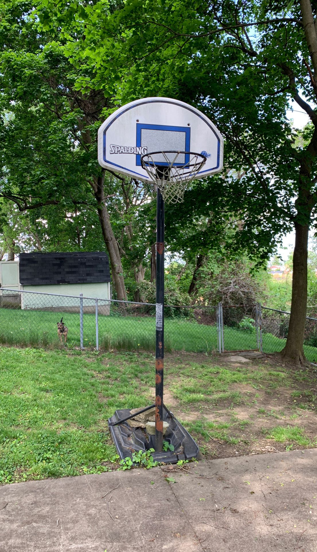 Basketball hoop/stand