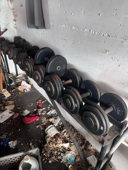 Weightlifting equipment, Free weight dumbbells flat discs Weightlifting equipment, Free weight dumbbells flat discs