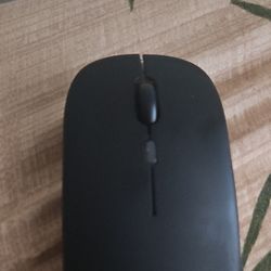 Wireless/BT Mouse