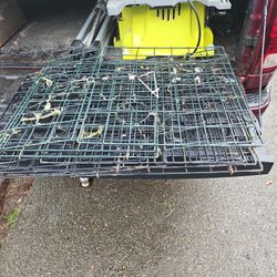 Crab Traps