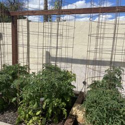 Tomatoe Wires