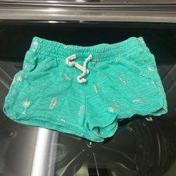 Girls Shorts Size 4T 