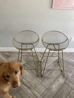 BARSTOOLS (set of 2): Ellis Wire Counter Height Barstool Gold - CosmoLiving by Cosmopolitan 