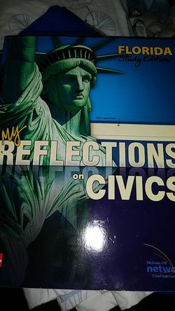 My reflection on civics