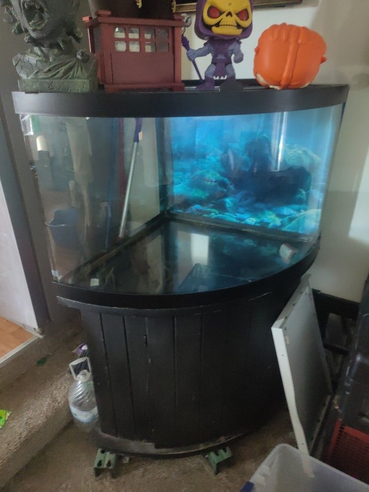 49 Gallon Bow Front