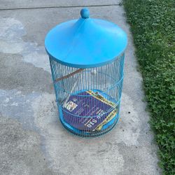 Bird Cage 
