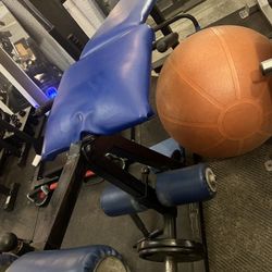 Leg Extension/curl Machine