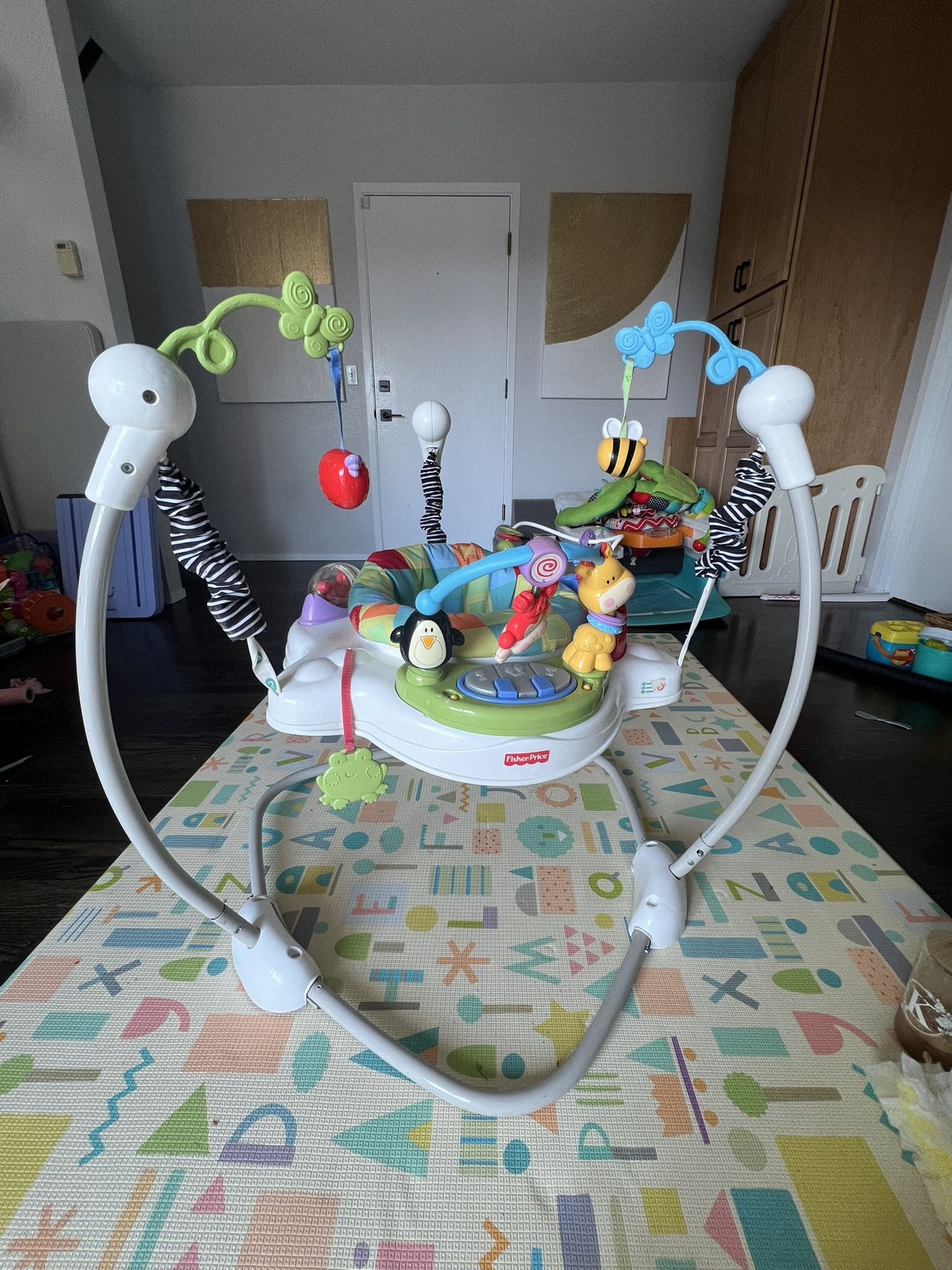 Fisher Price Baby Bouncer