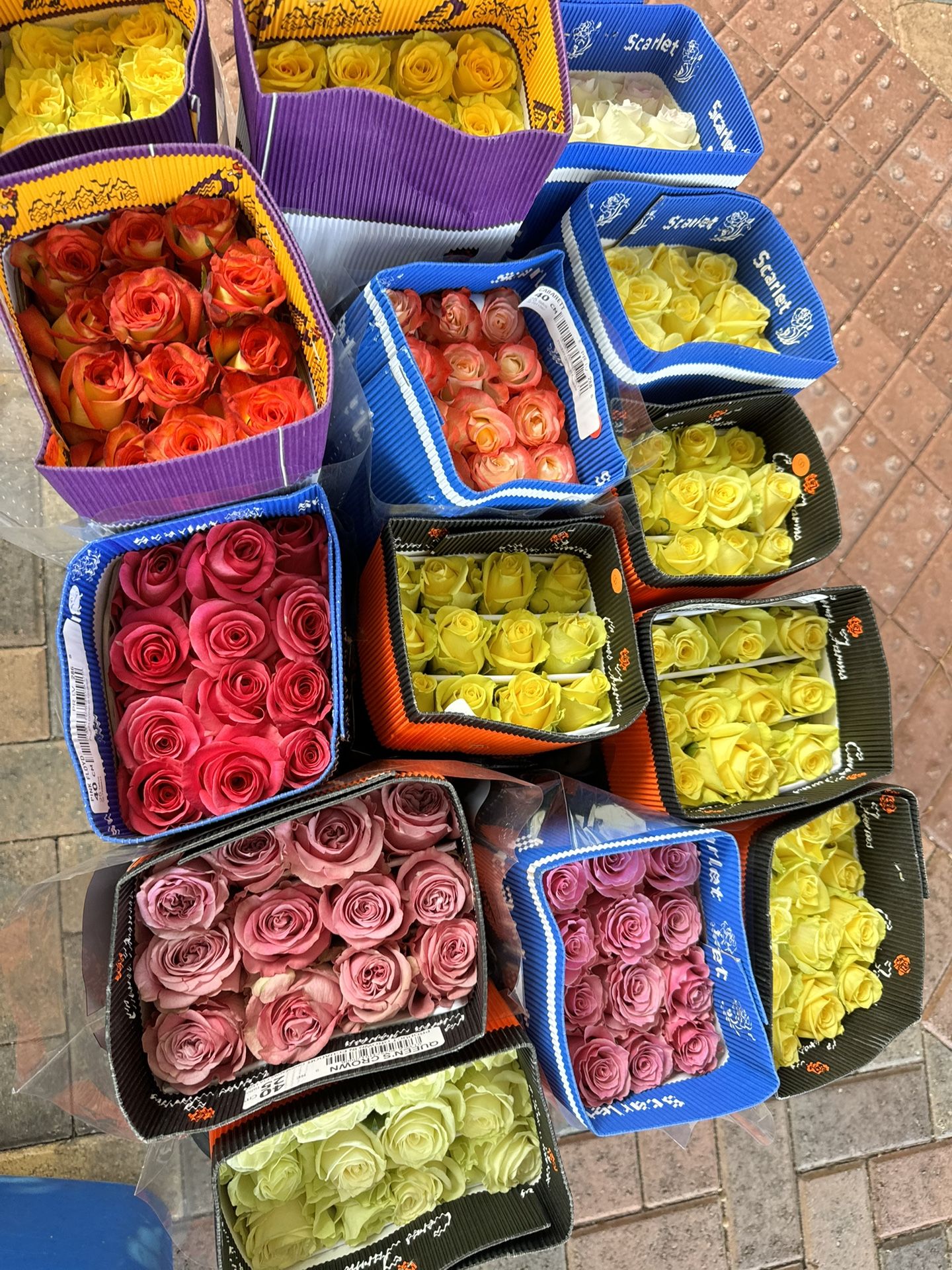 20 Rosas A 20$