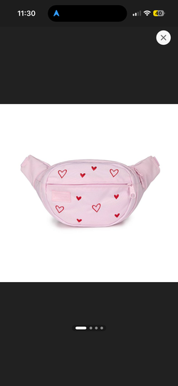 Jansport fanny pack
