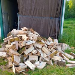 Douglas Fir Or Alder Cords 175 Delivered 
