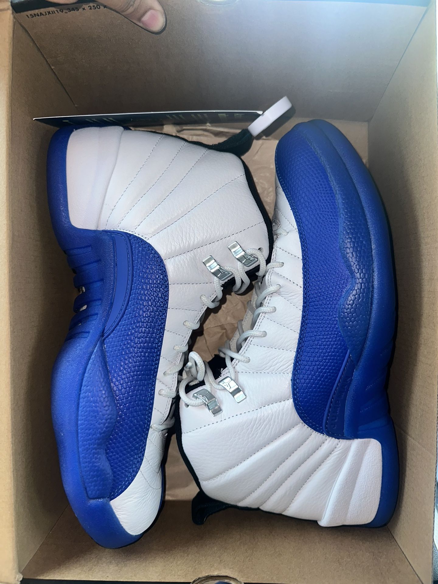 Blueberry 12s