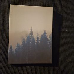 Canvas Art $10