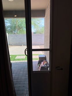 Extra large/high doggie door for slider