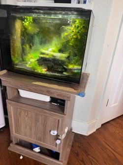 Fluval Spec 16 Gallon Tank, Redtail shark, and ALL the supplies and stand