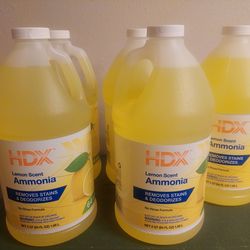 Lot of 5 HDX Lemon Ammonia