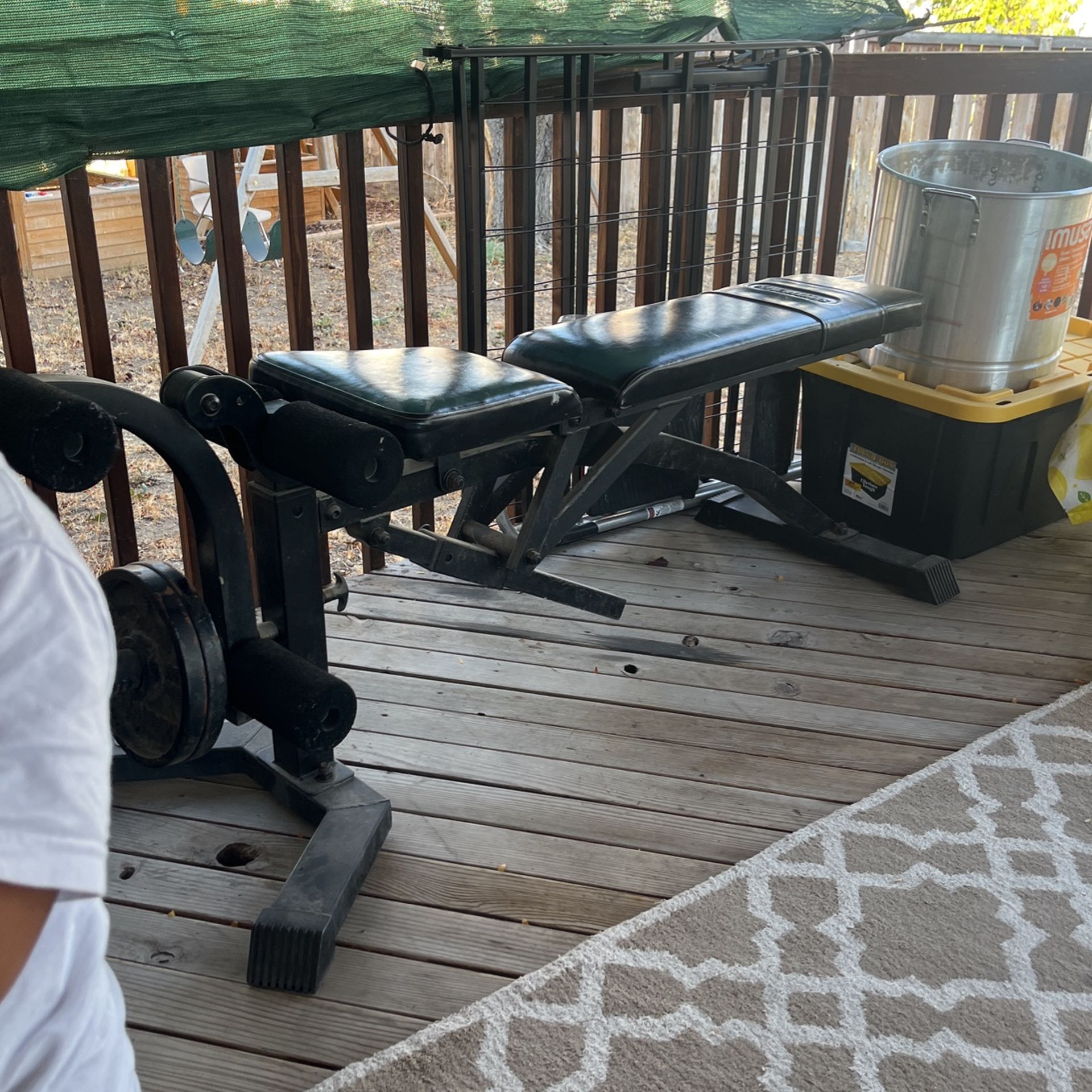 Exercise Bench