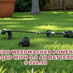 EGO WEEDWACKER POWER LOAD WITH 5.0 AH BATTERY 