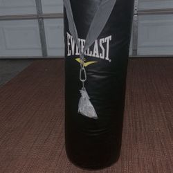 Punching bag 