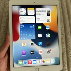 Apple İPad Air 2nd Generation 64 GB Wi-Fi, Comes With Brand New Case And Cable