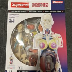 Supreme Female Anatomy Model 