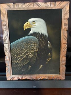 Eagle Velvet Painting
