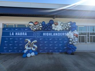 Ballons Garland Arch  $150