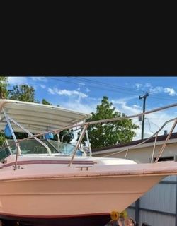 Sea Ray 24 Ft