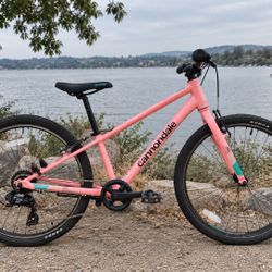 Quick 24" Kids Road Hybrid Bike Light Pink Cannondale