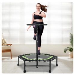 Trampoline for Adults