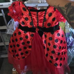 Ladybug Costume