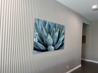 Wall Accents Baseboards Door Interior Or Exterior Trim 