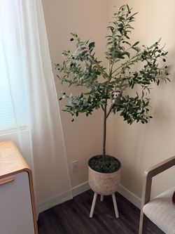Olive Tree (Artificial)
