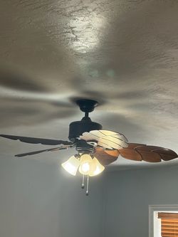 Nice fan