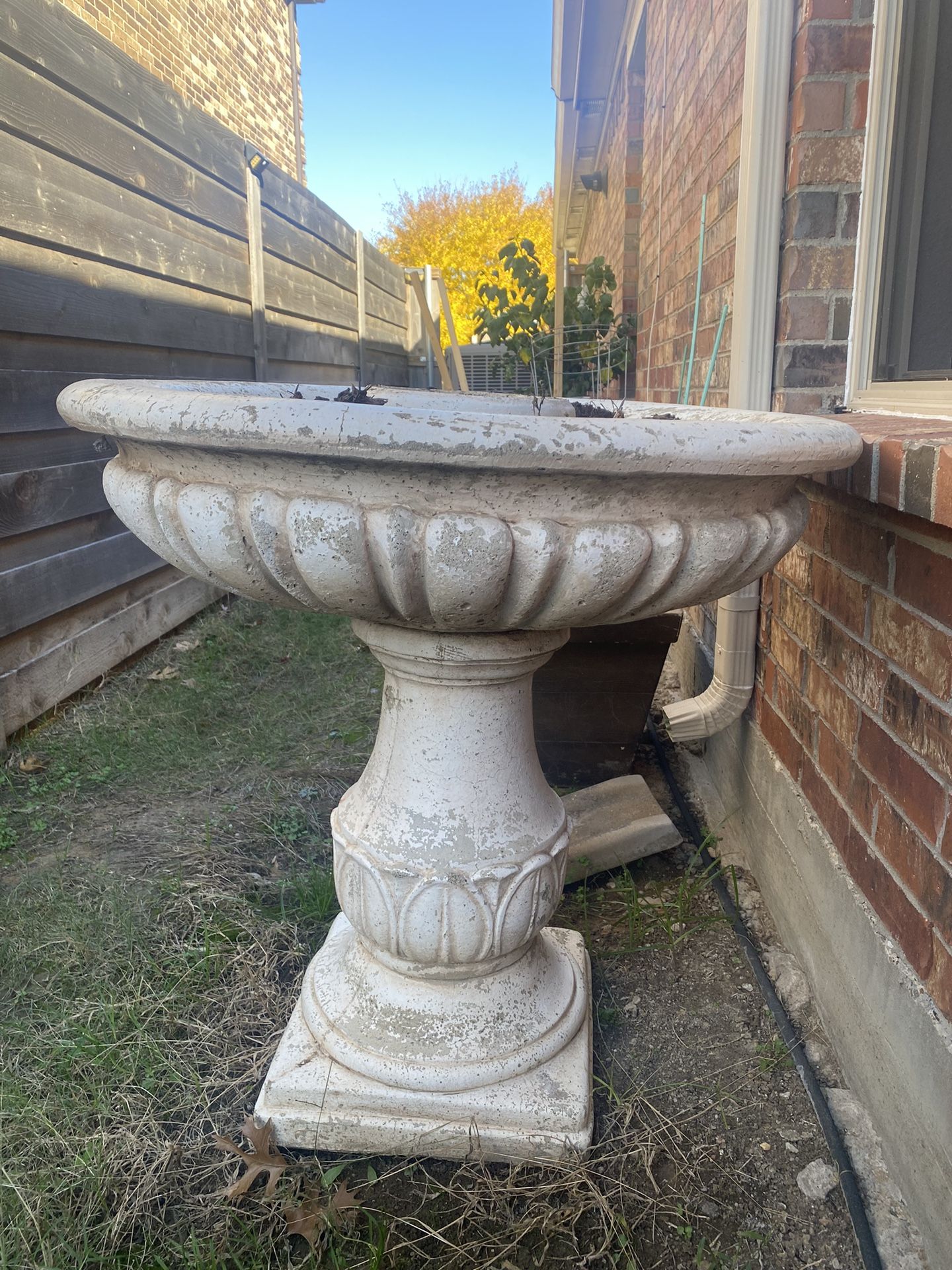 Bird Bath
