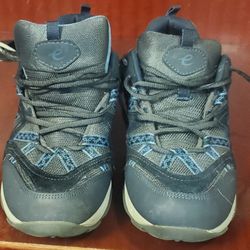 Easy Spirit Walking Shoe