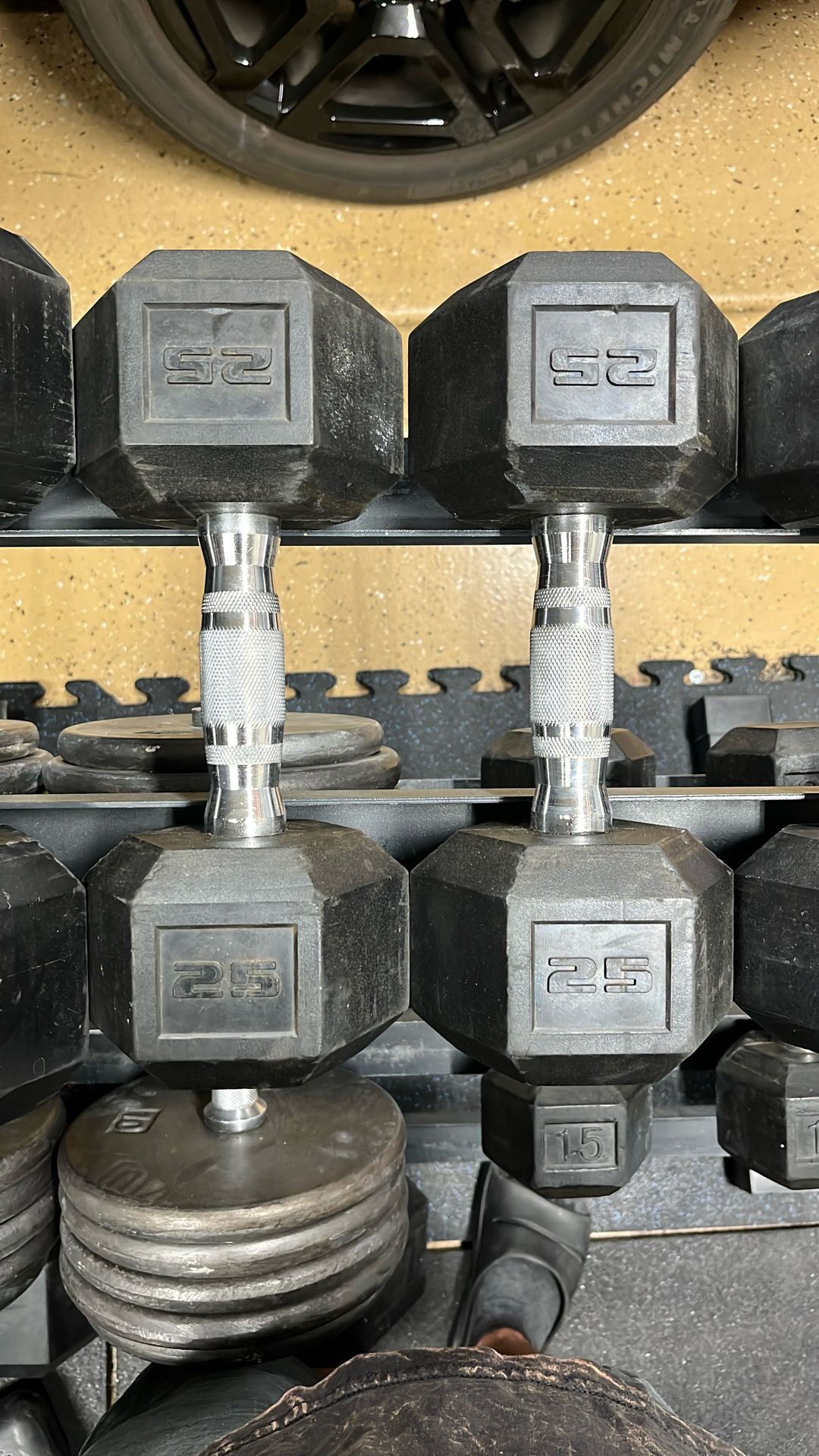 25lb Dumbbells