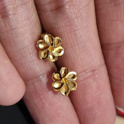 16k Gold Earrings