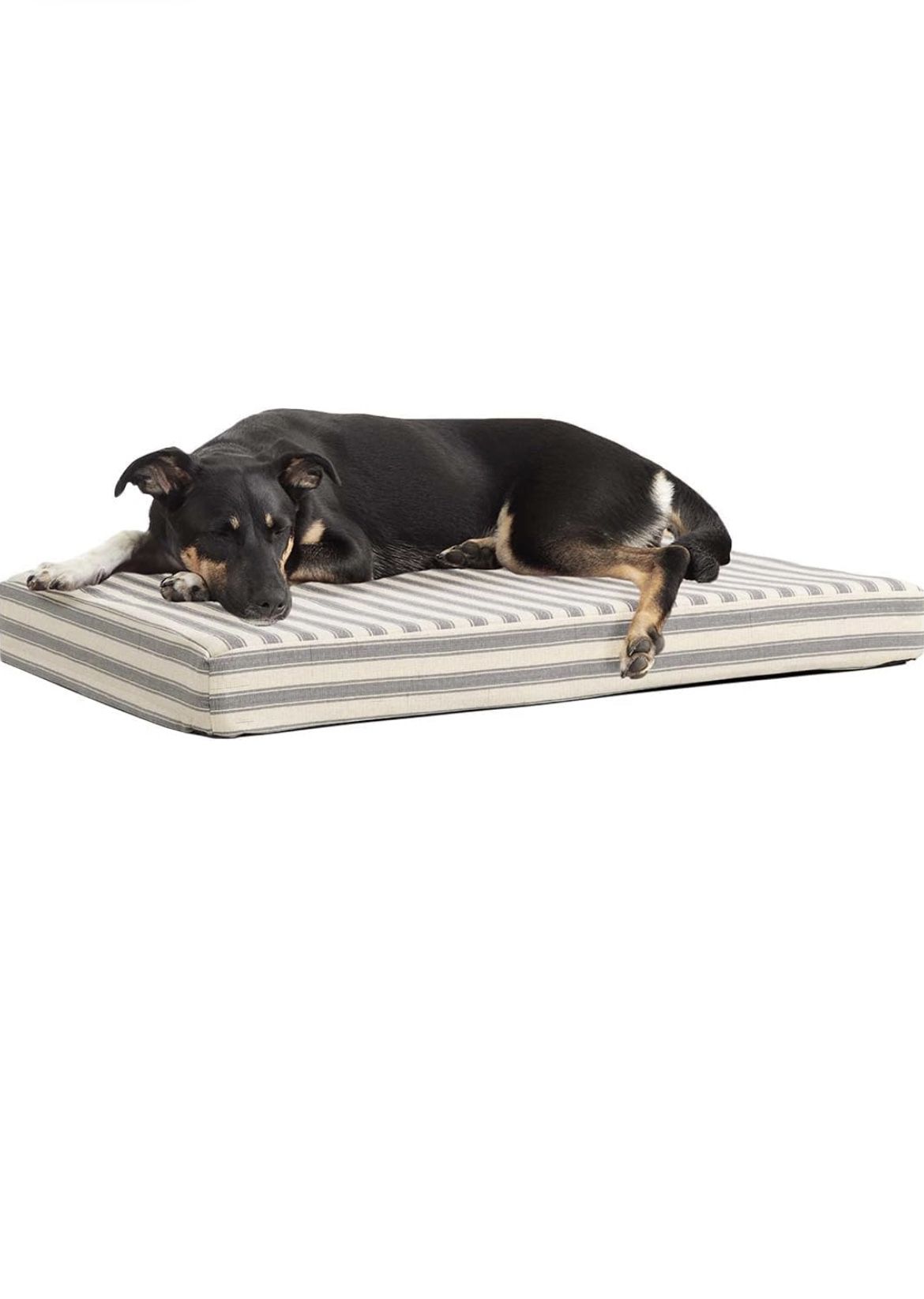 Barkbox Memory Foam Platform Dog Bed | Plush Mattress for Orthopedic Joint Relief | Machine Washable Cuddler with Removable Cover and Water-Resistant
