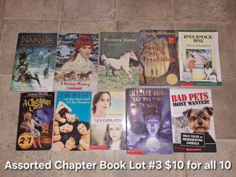 Assorted Chapter Book Lot #3