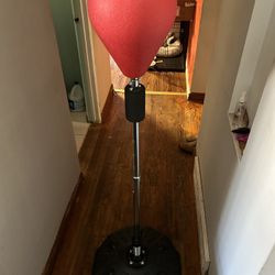 Speed Punching Bag